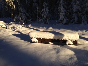 Mjuk och skön sittplats på marknivå...