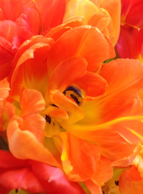 fjortontusenvisningar #asaole