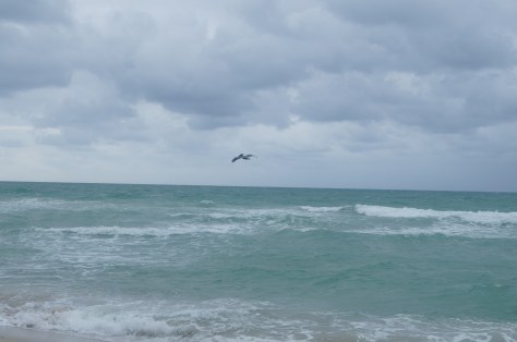 Stranden i Miami Beach