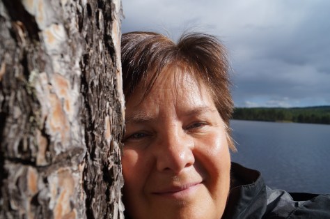 A close encounter with a pine tree