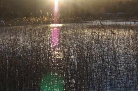 Vintervass i motljus 1_#asaole