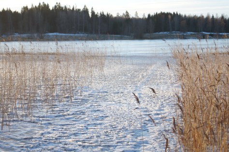 #Nedre Klingen, #asaole