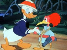 #asaole, #kalle-anka